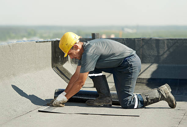 Best Geographic-Specific Insulation Services in Bethany, WV